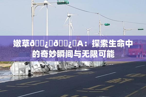 嫩草🌿‌🌿‌A：探索生命中的奇妙瞬间与无限可能