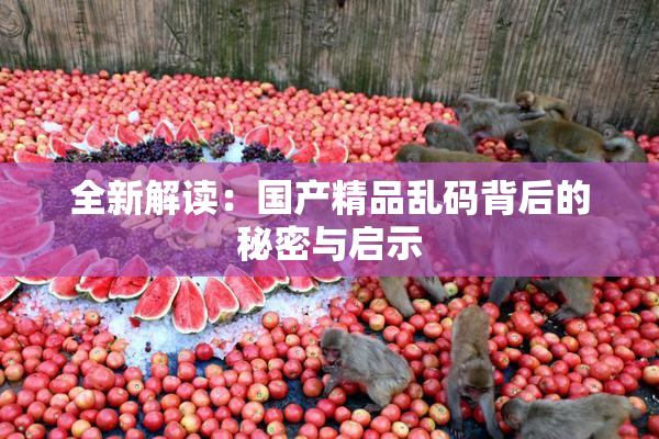 全新解读：国产精品乱码背后的秘密与启示