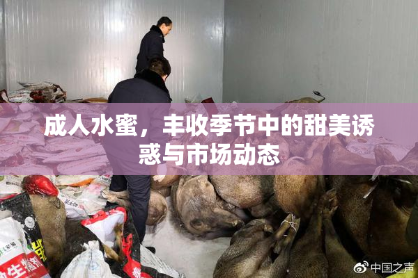 成人水蜜，丰收季节中的甜美诱惑与市场动态
