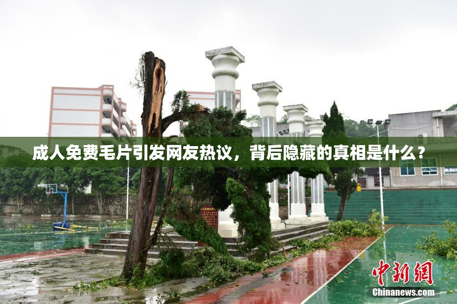 成人免费毛片引发网友热议，背后隐藏的真相是什么？