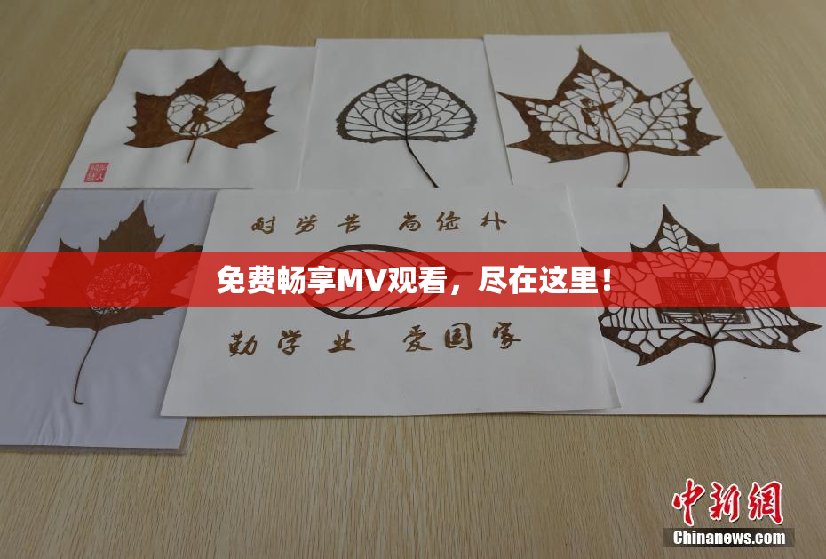 免费畅享MV观看，尽在这里！