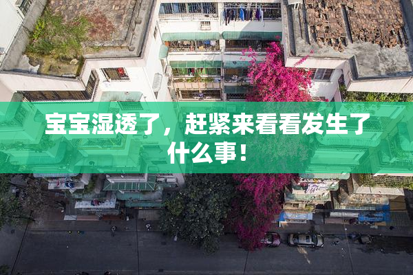 宝宝湿透了，赶紧来看看发生了什么事！