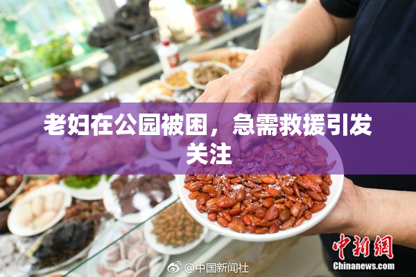 老妇在公园被困，急需救援引发关注