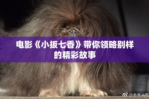 电影《小扳七香》带你领略别样的精彩故事