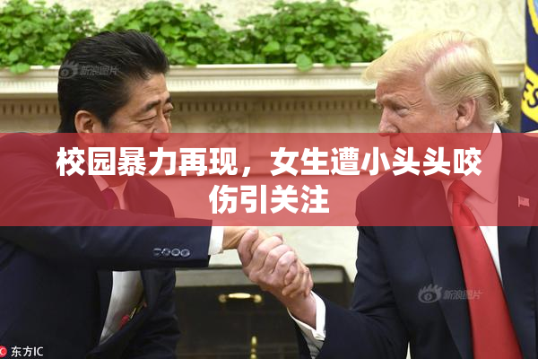 校园暴力再现，女生遭小头头咬伤引关注