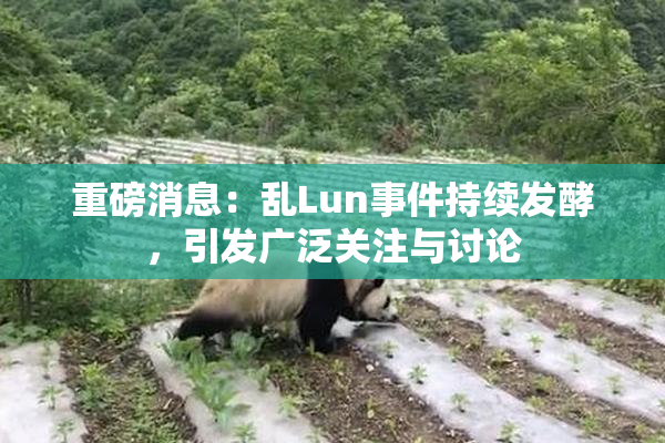 重磅消息：乱Lun事件持续发酵，引发广泛关注与讨论