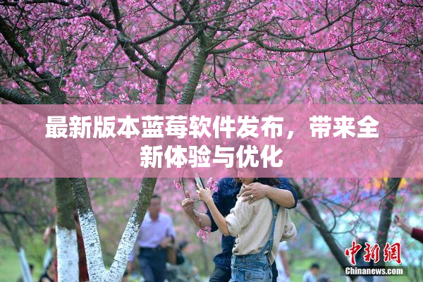 最新版本蓝莓软件发布，带来全新体验与优化