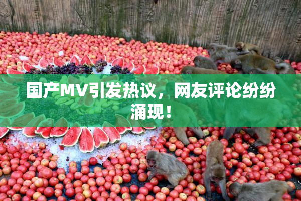 国产MV引发热议，网友评论纷纷涌现！