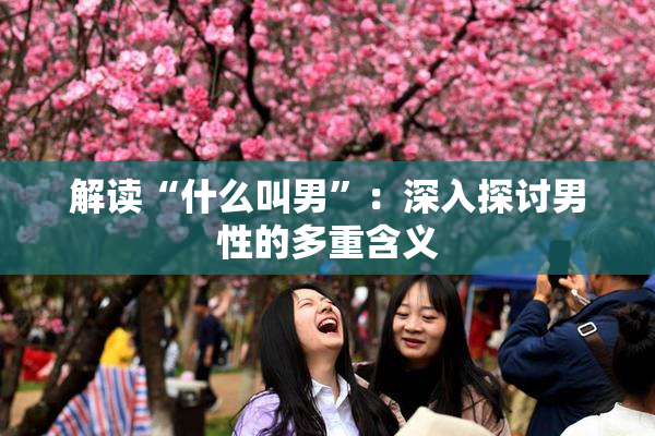 解读“什么叫男”：深入探讨男性的多重含义