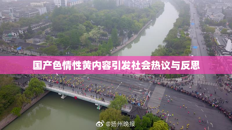 国产色情性黄内容引发社会热议与反思