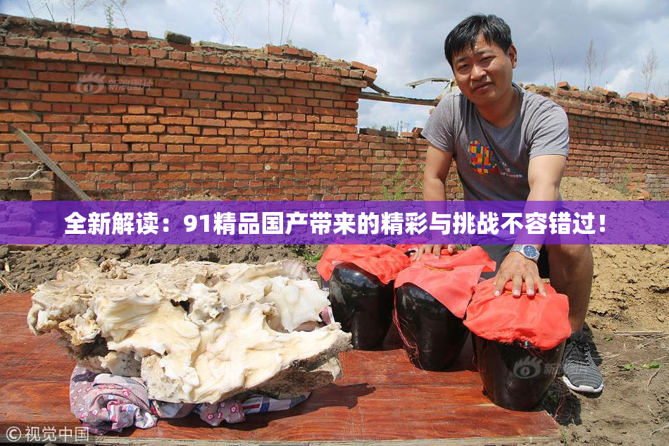 全新解读：91精品国产带来的精彩与挑战不容错过！