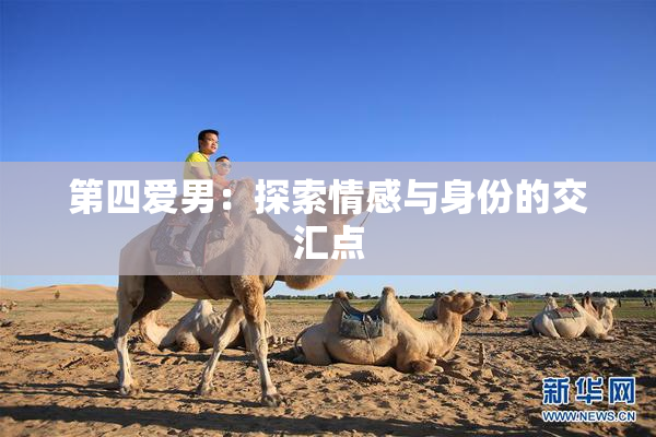 第四爱男：探索情感与身份的交汇点