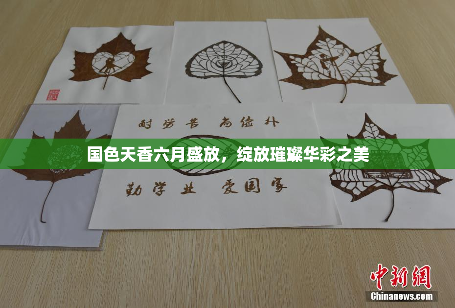 国色天香六月盛放，绽放璀璨华彩之美