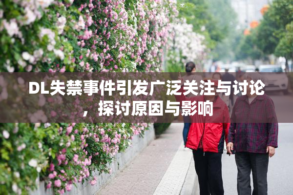 DL失禁事件引发广泛关注与讨论，探讨原因与影响