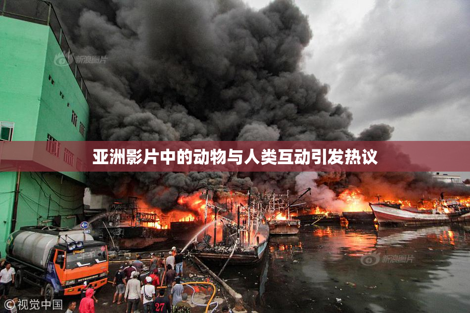 亚洲影片中的动物与人类互动引发热议