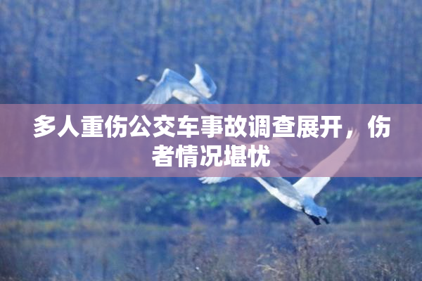 多人重伤公交车事故调查展开，伤者情况堪忧