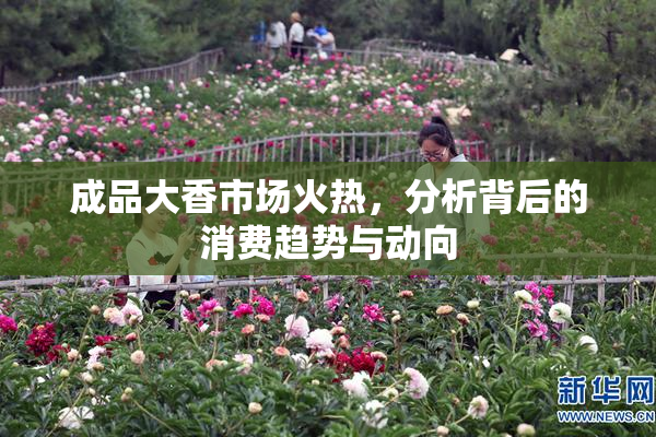 成品大香市场火热，分析背后的消费趋势与动向