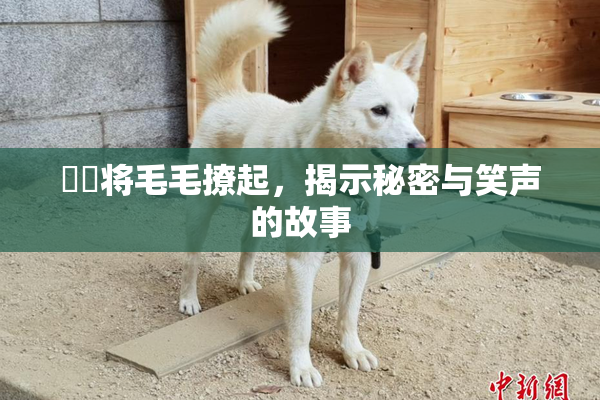 妺妺将毛毛撩起，揭示秘密与笑声的故事