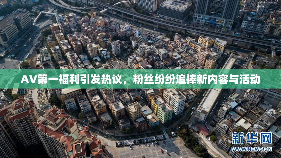 AV第一福利引发热议，粉丝纷纷追捧新内容与活动