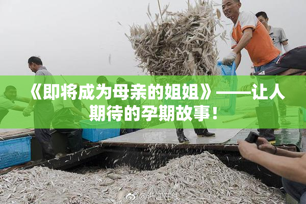 《即将成为母亲的姐姐》——让人期待的孕期故事！