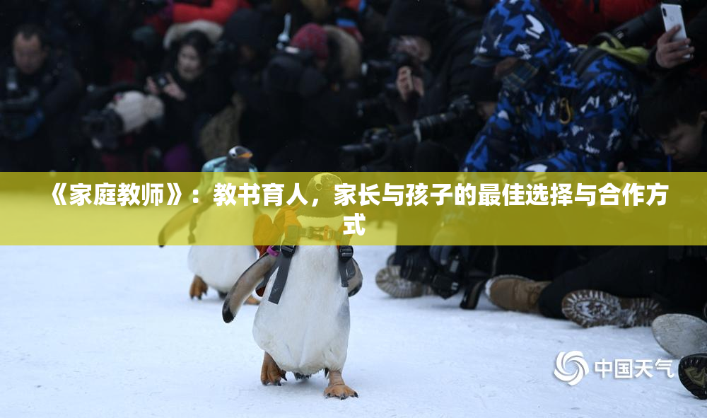 《家庭教师》：教书育人，家长与孩子的最佳选择与合作方式