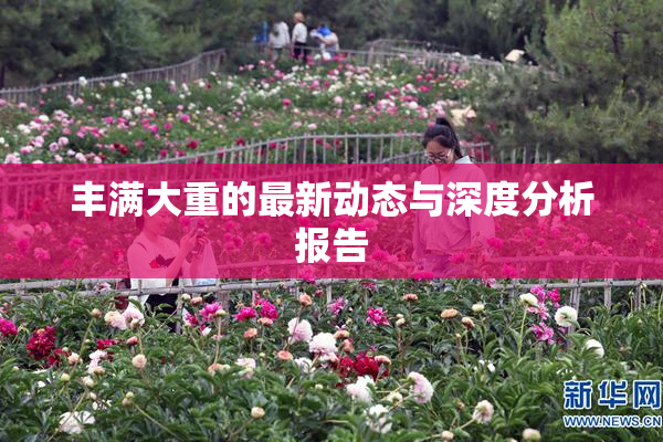 丰满大重的最新动态与深度分析报告