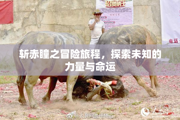 斩赤瞳之冒险旅程，探索未知的力量与命运