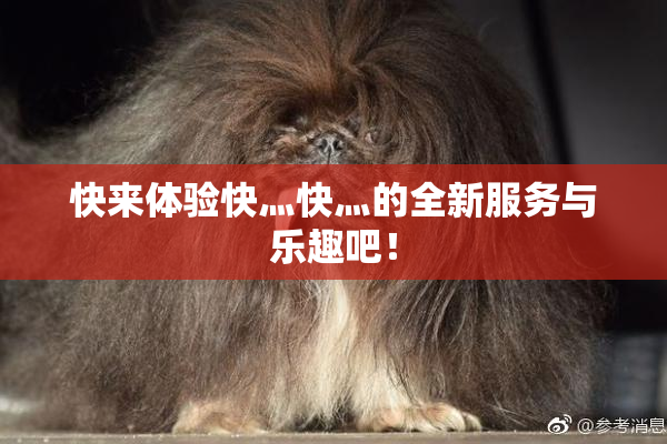 快来体验快灬快灬的全新服务与乐趣吧！