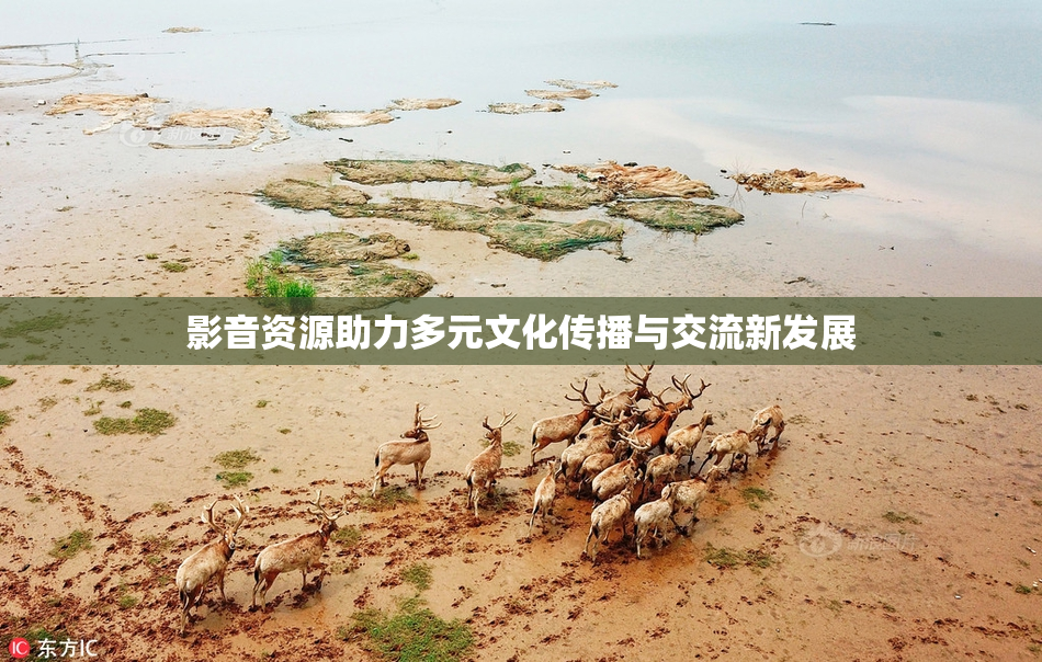 影音资源助力多元文化传播与交流新发展