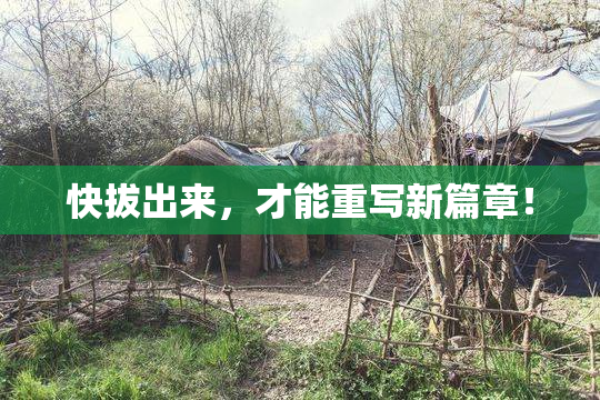 快拔出来，才能重写新篇章！