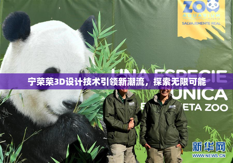 宁荣荣3D设计技术引领新潮流，探索无限可能