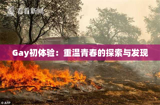 Gay初体验：重温青春的探索与发现