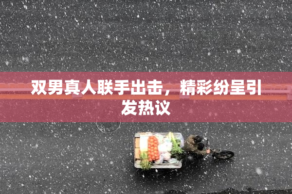 双男真人联手出击，精彩纷呈引发热议