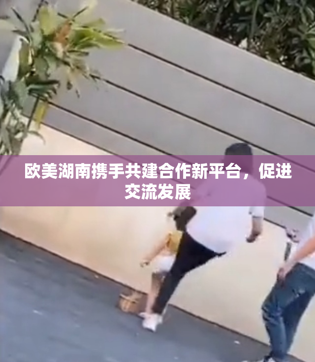 欧美湖南携手共建合作新平台，促进交流发展