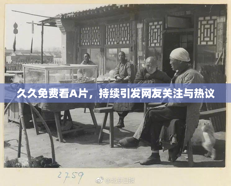 久久免费看A片，持续引发网友关注与热议