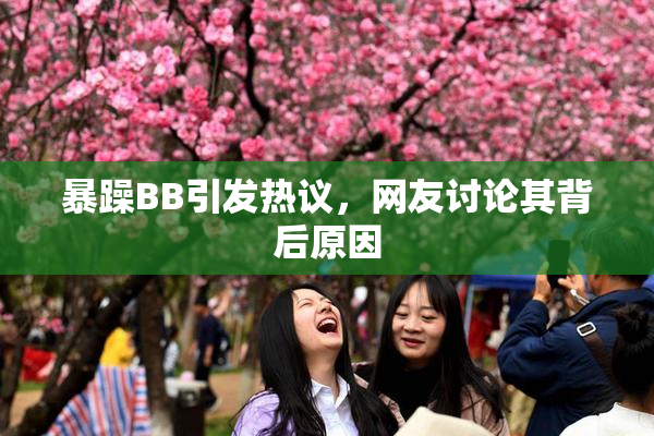 暴躁BB引发热议，网友讨论其背后原因