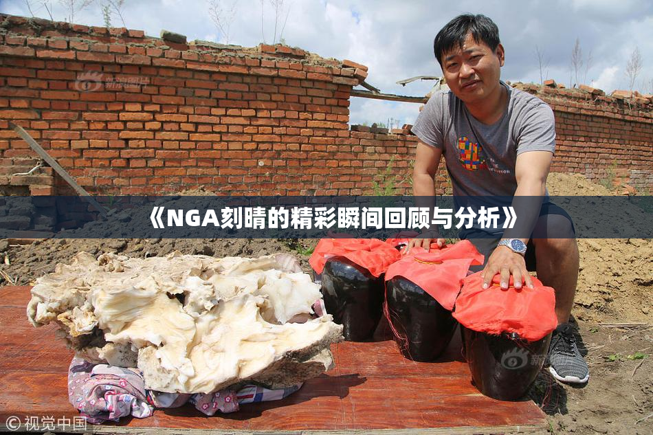 《NGA刻晴的精彩瞬间回顾与分析》