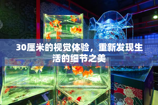 30厘米的视觉体验，重新发现生活的细节之美