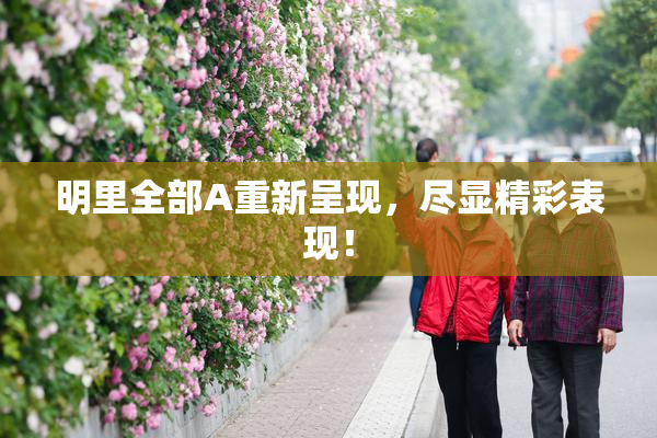 明里全部A重新呈现，尽显精彩表现！