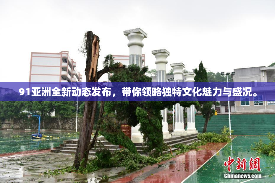 91亚洲全新动态发布，带你领略独特文化魅力与盛况。
