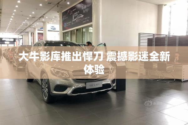 大牛影库推出悍刀 震撼影迷全新体验