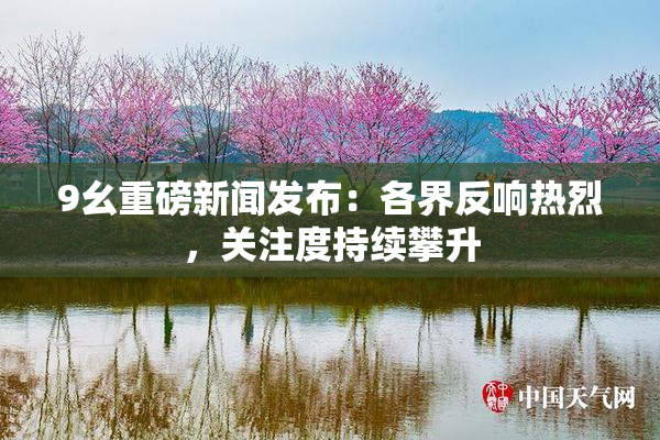 9幺重磅新闻发布：各界反响热烈，关注度持续攀升