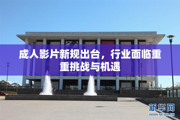 成人影片新规出台，行业面临重重挑战与机遇