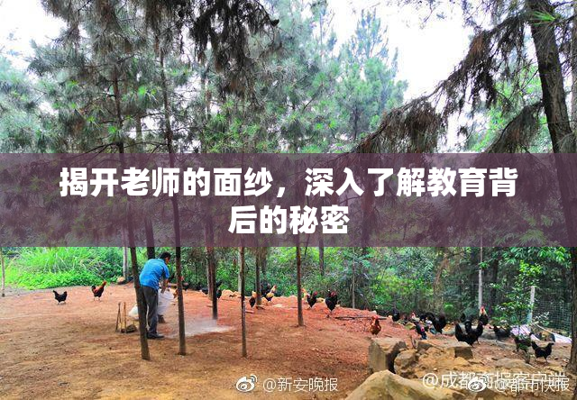 揭开老师的面纱，深入了解教育背后的秘密