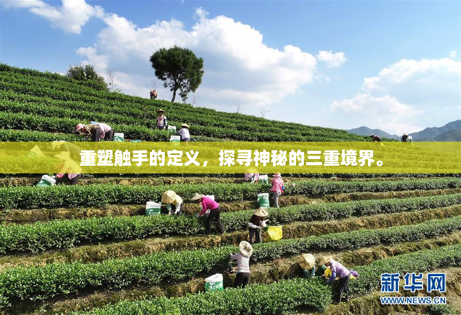 重塑触手的定义，探寻神秘的三重境界。
