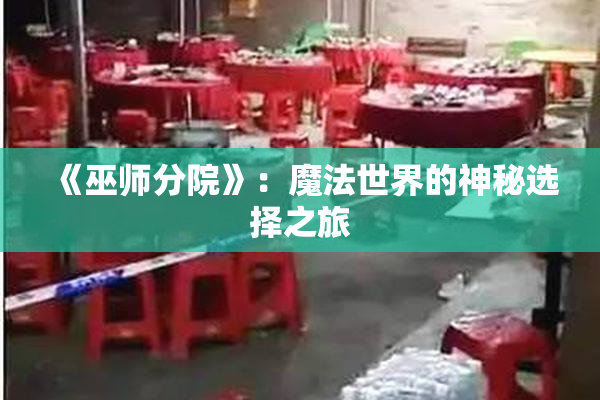 《巫师分院》：魔法世界的神秘选择之旅