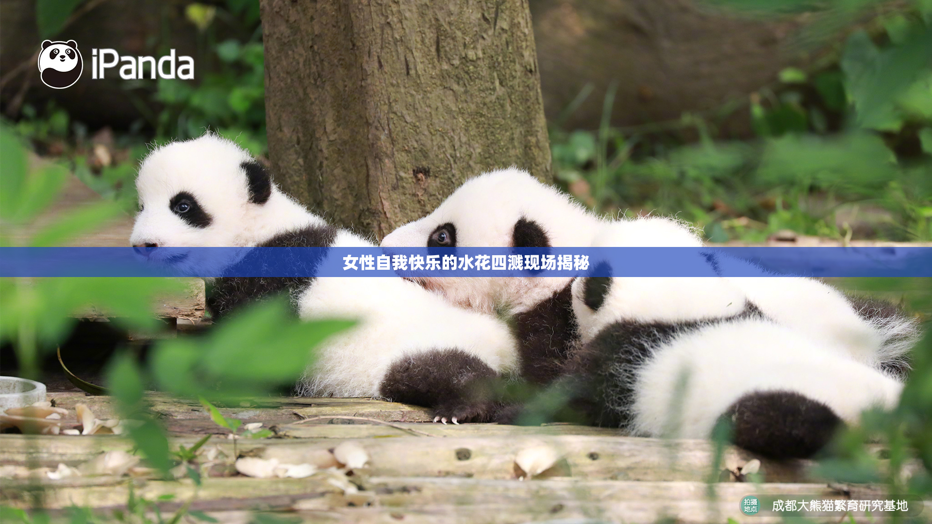 女性自我快乐的水花四溅现场揭秘