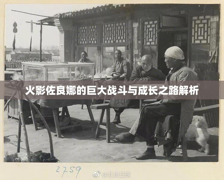 火影佐良娜的巨大战斗与成长之路解析