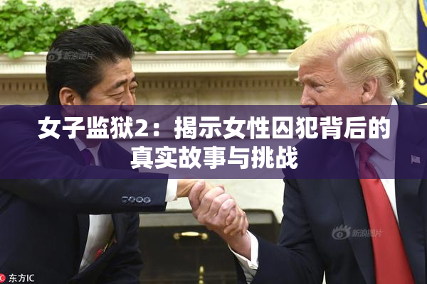 女子监狱2：揭示女性囚犯背后的真实故事与挑战