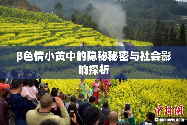β色情小黄中的隐秘秘密与社会影响探析